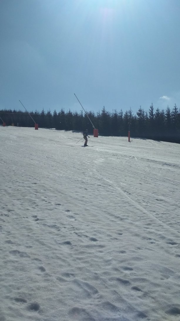 IMG_20200319_110010.jpg