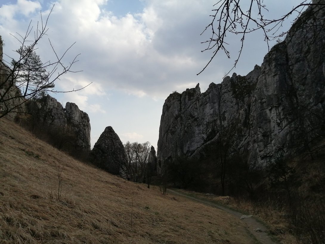 IMG_20200319_143753.jpg