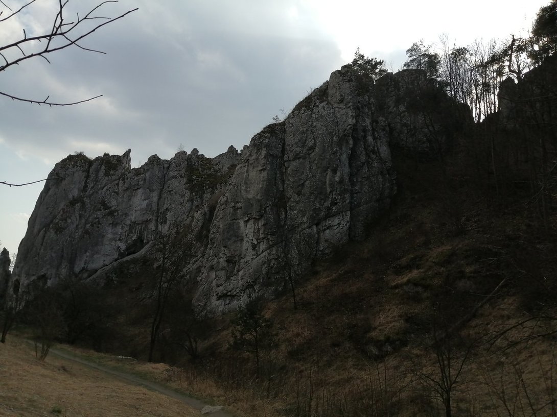 IMG_20200319_143800.jpg