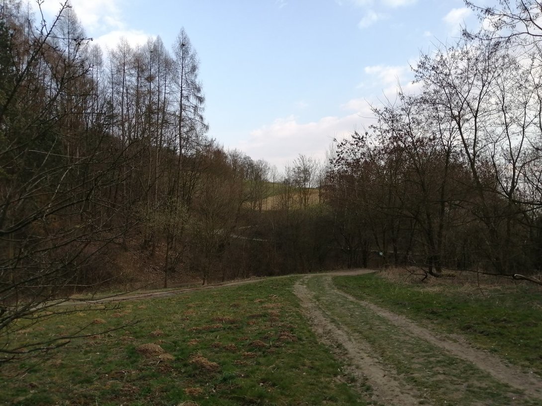 IMG_20200319_155205.jpg