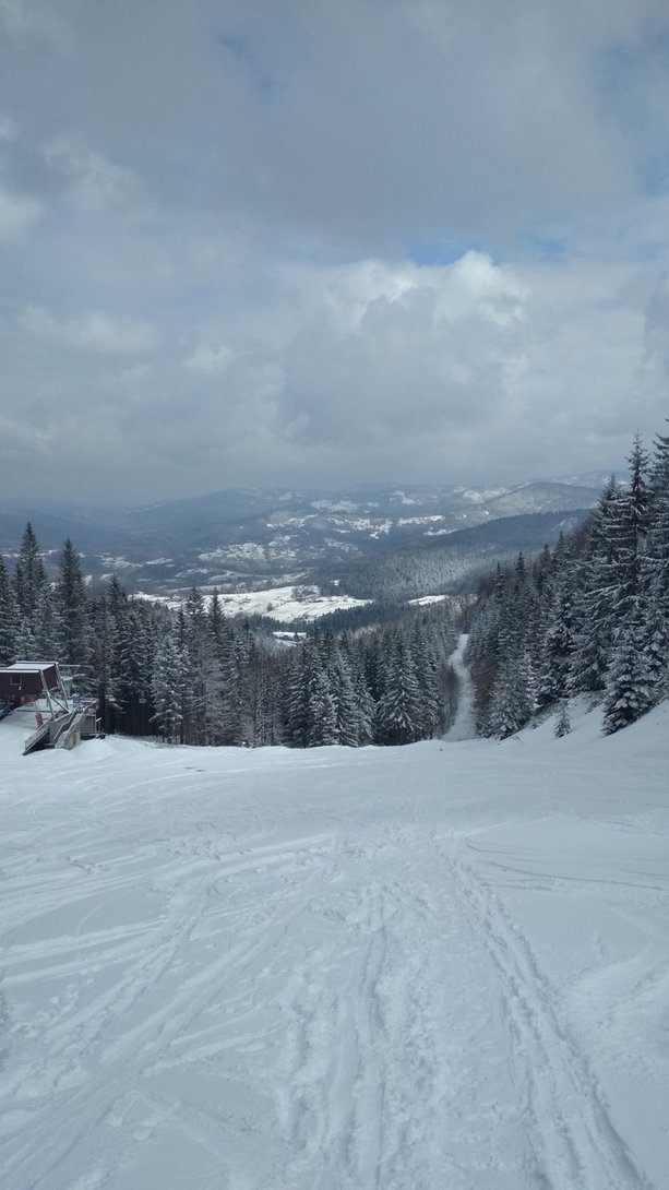 IMG_20200322_104143.jpg