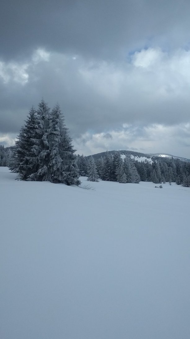 IMG_20200322_111536.jpg