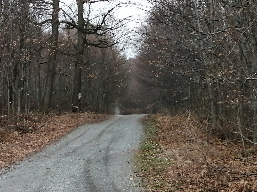 IMG_20200322_122800.jpg