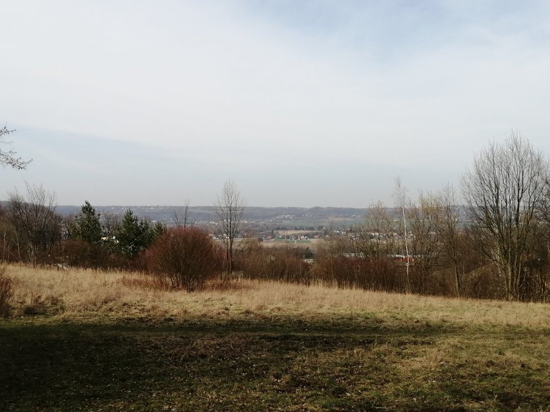 IMG_20200326_144846.jpg