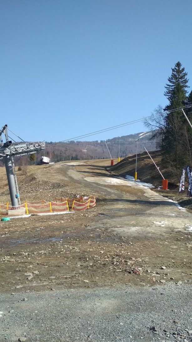 IMG_20200327_131118.jpg