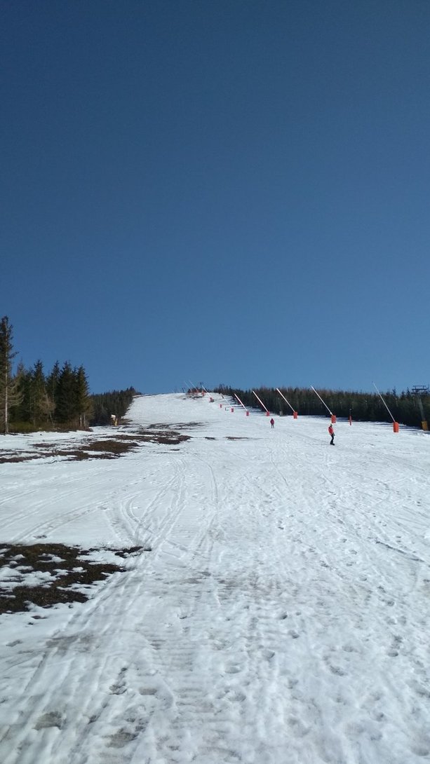 IMG_20200327_141150.jpg