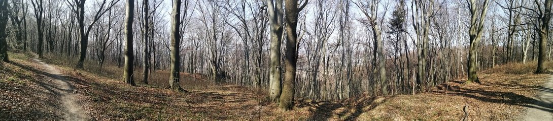 IMG_20200328_140051.jpg