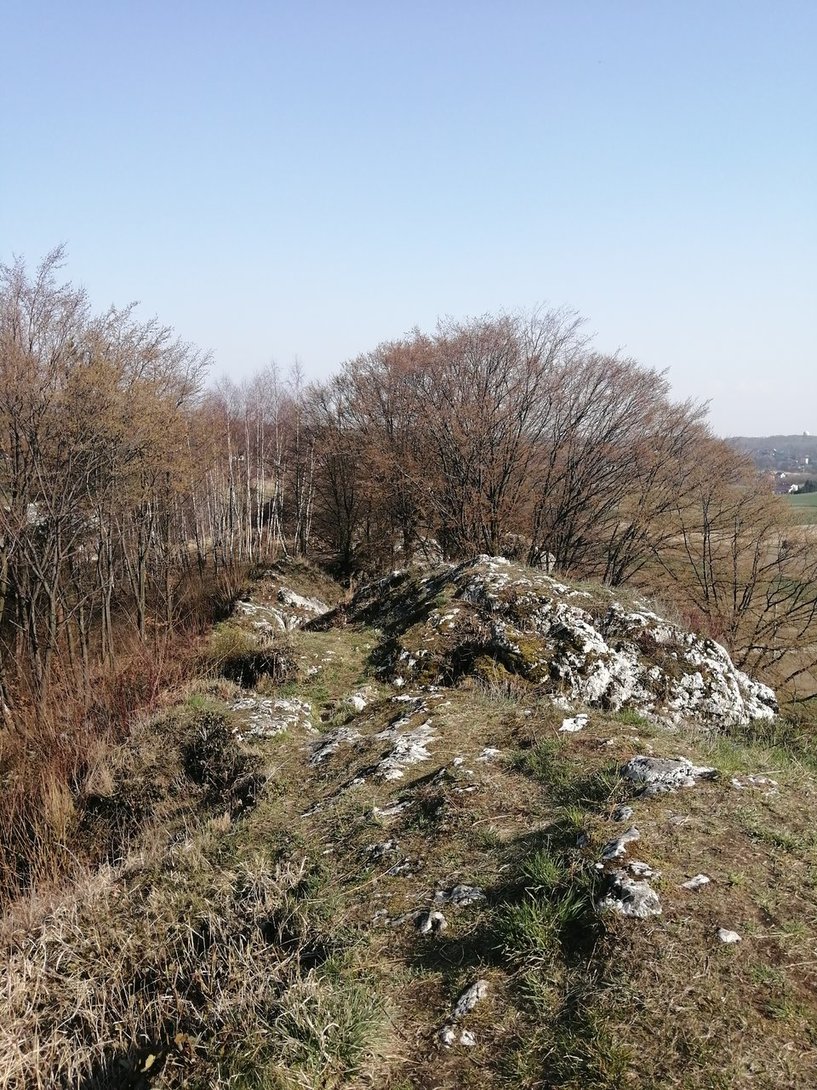 IMG_20200328_141006.jpg