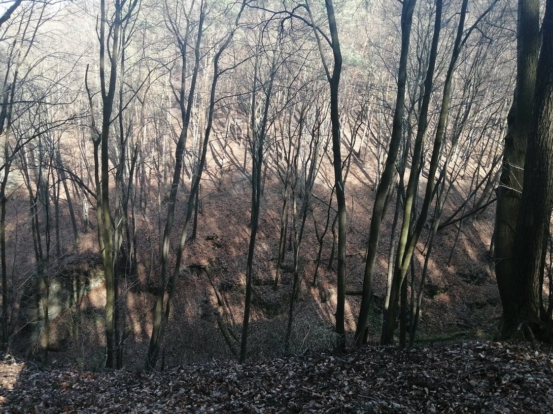 IMG_20200328_142427.jpg