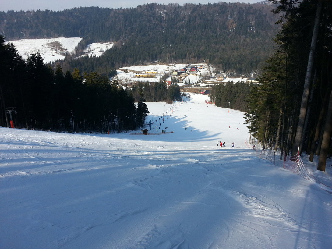 20150218_123325.thumb.jpg.82ccc2d7f89d0d06e77e308a3e8213f8.jpg