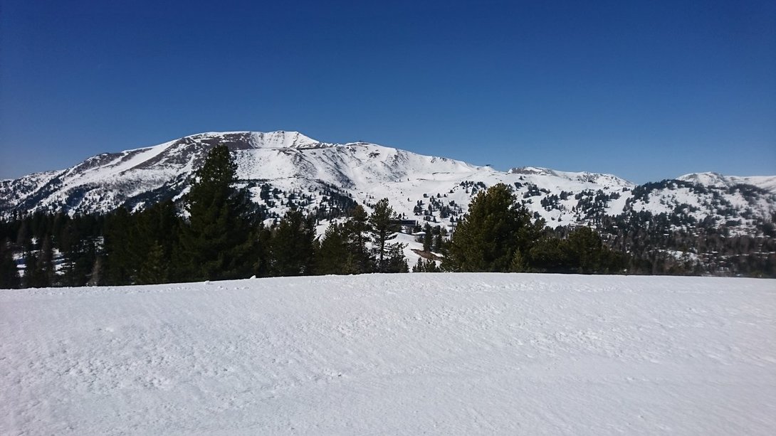 2019-03-29_09_41_54.thumb.jpg.8e388b4f2b6d971367620b9b8822a791.jpg