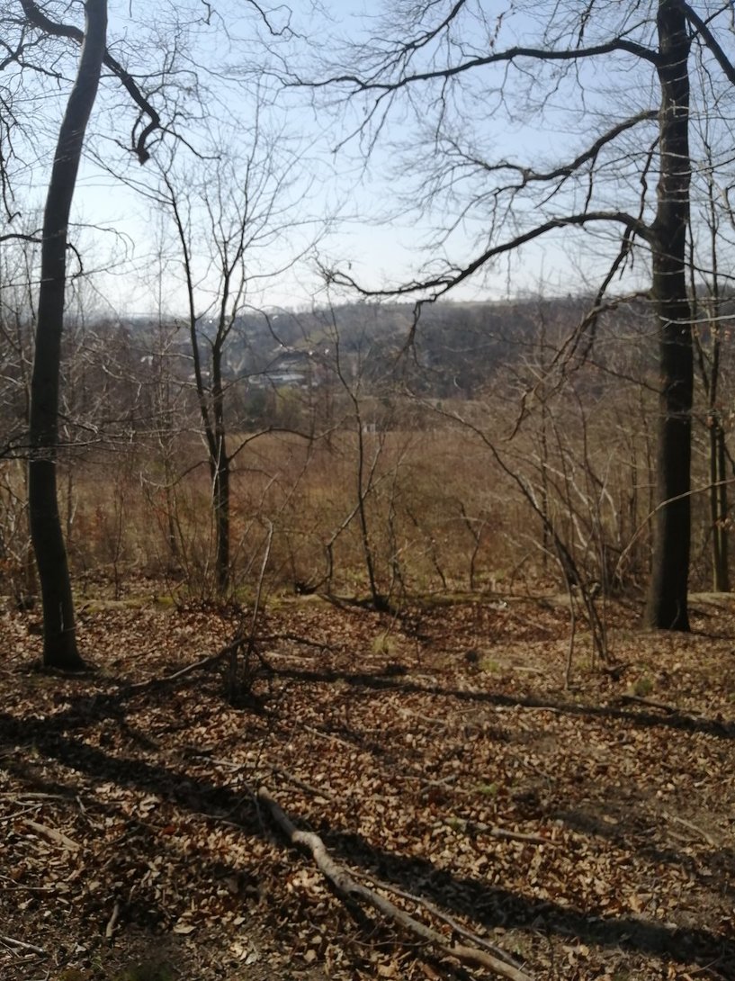 IMG_20200405_132922.jpg