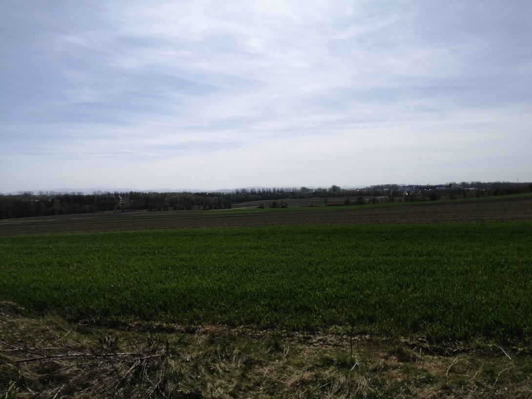 IMG_20200416_143352.jpg