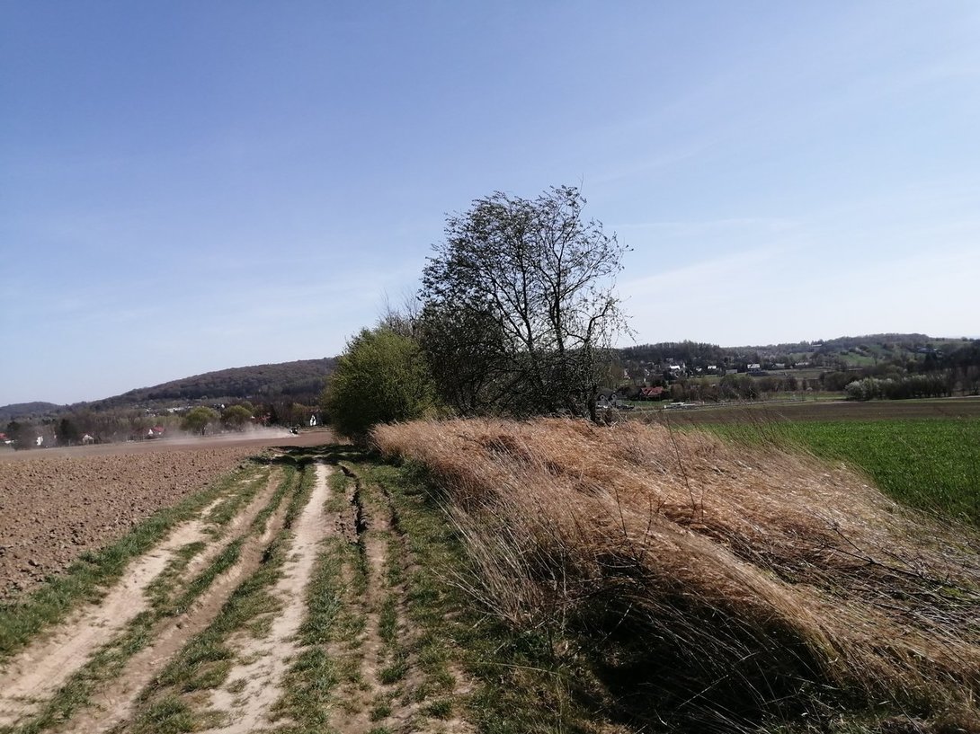 IMG_20200416_143359.jpg