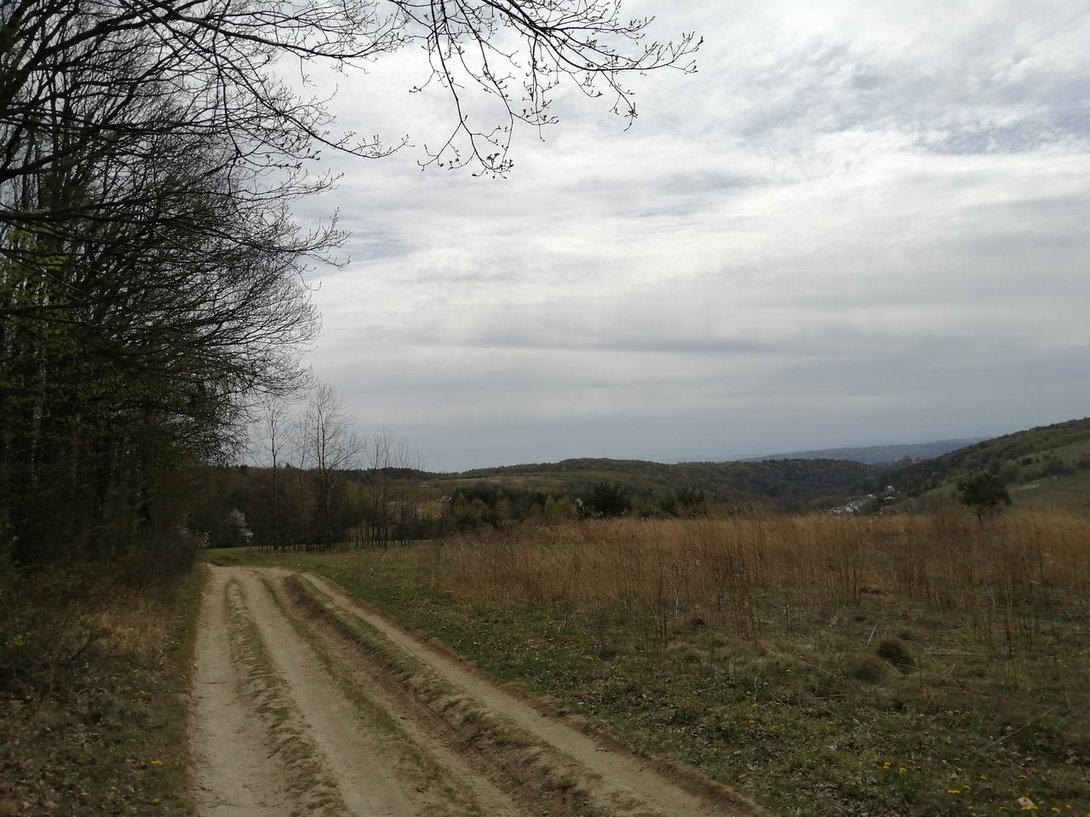 IMG_20200419_132928.jpg