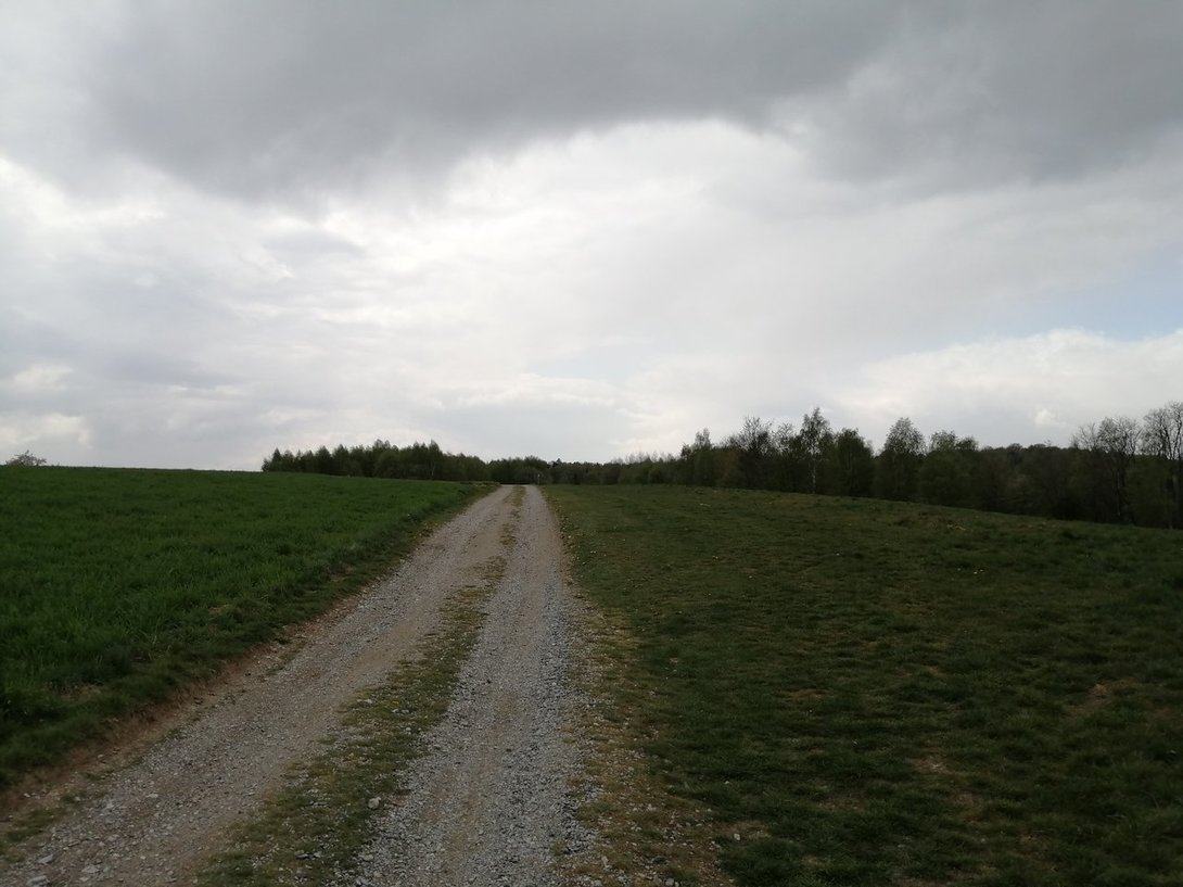 IMG_20200425_141724.jpg