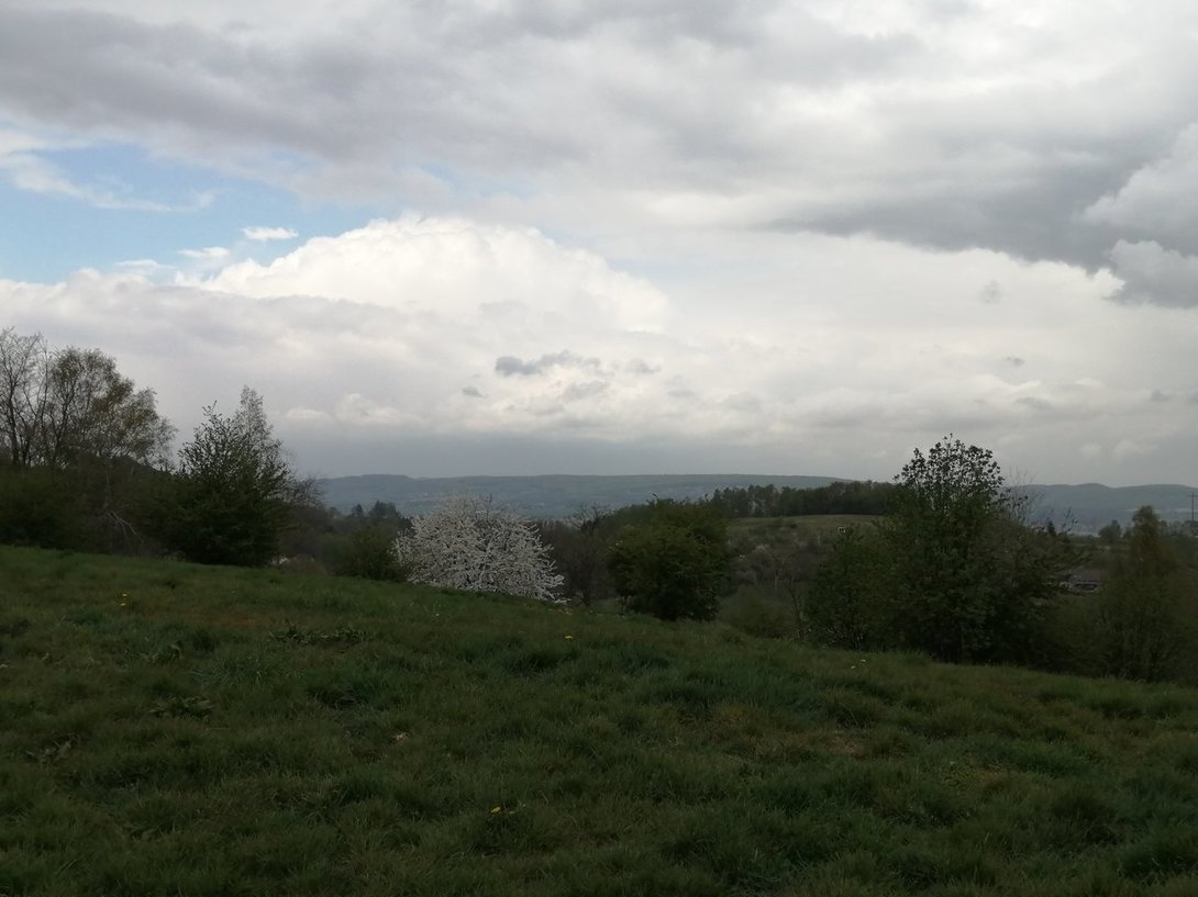 IMG_20200425_141730.jpg