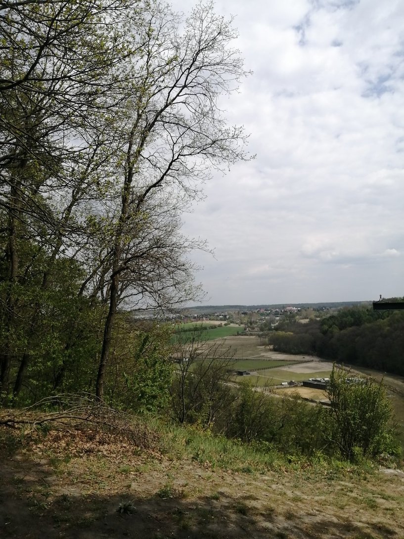 IMG_20200428_133848.jpg