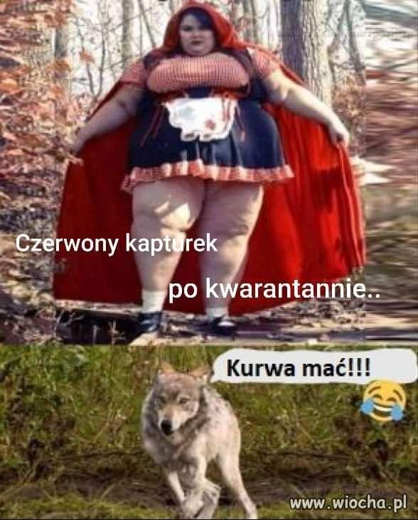 pobrane.jpg.f99dd72fdc2c1d83e32293b735154f2c.jpg