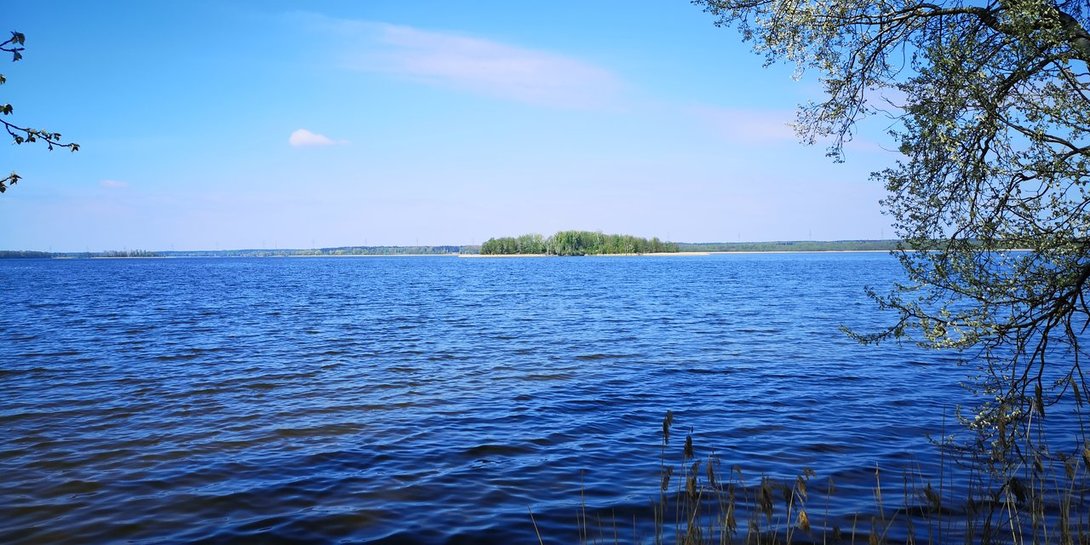 10.thumb.jpg.ac0ebaad5dda774bd1d7649fc6aca99b.jpg