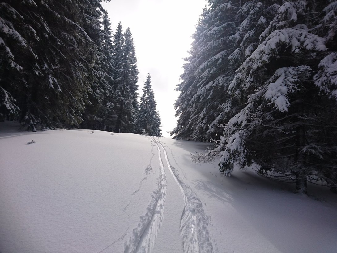DSC_4167.JPG