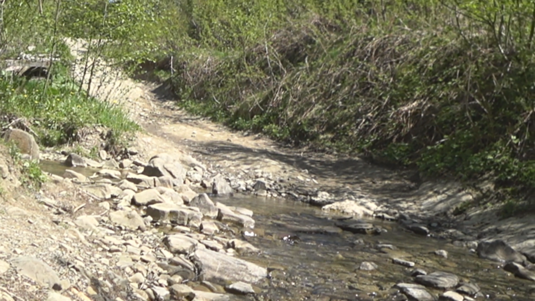 Image1.thumb.png.d7debea18148f47556e7945ce703d260.png