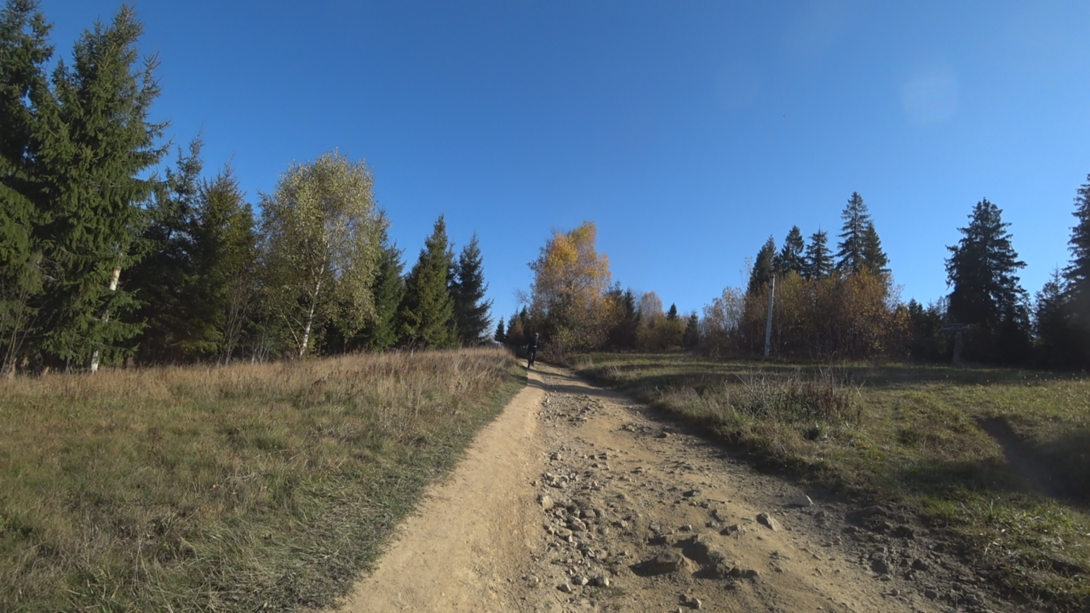 Image10.thumb.png.655837a1ad141f9054f940529ae54c6e.png
