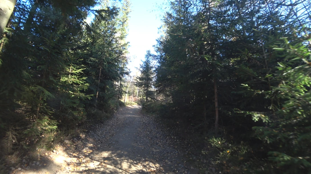 Image11.thumb.png.8016f9060f225d6ea239a4983291929f.png