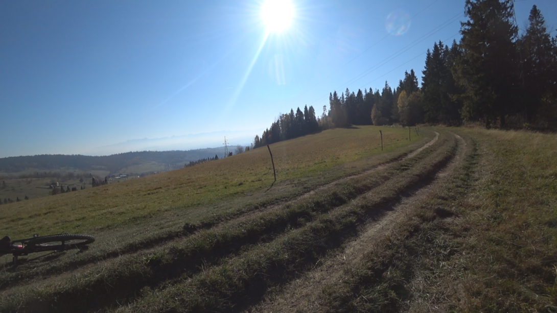 Image12.thumb.png.83b03e58cd03067990f4360855b12786.png