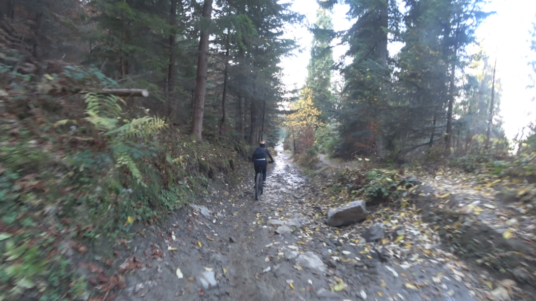 Image15.thumb.png.e1d121920e3e9a7ca0eec5aa27df7da5.png