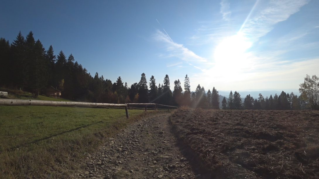 Image18.thumb.png.d0593cc12fcf7bffedaf04d003b53665.png