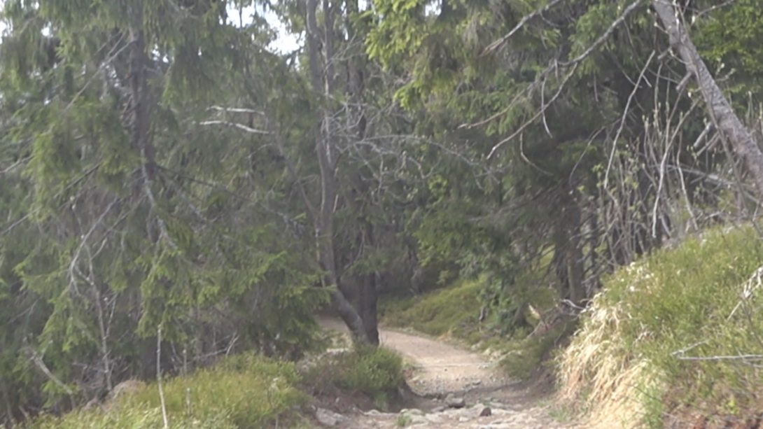 Image4.thumb.png.b95f7f8a54eca3b65e360d54ad893f09.png
