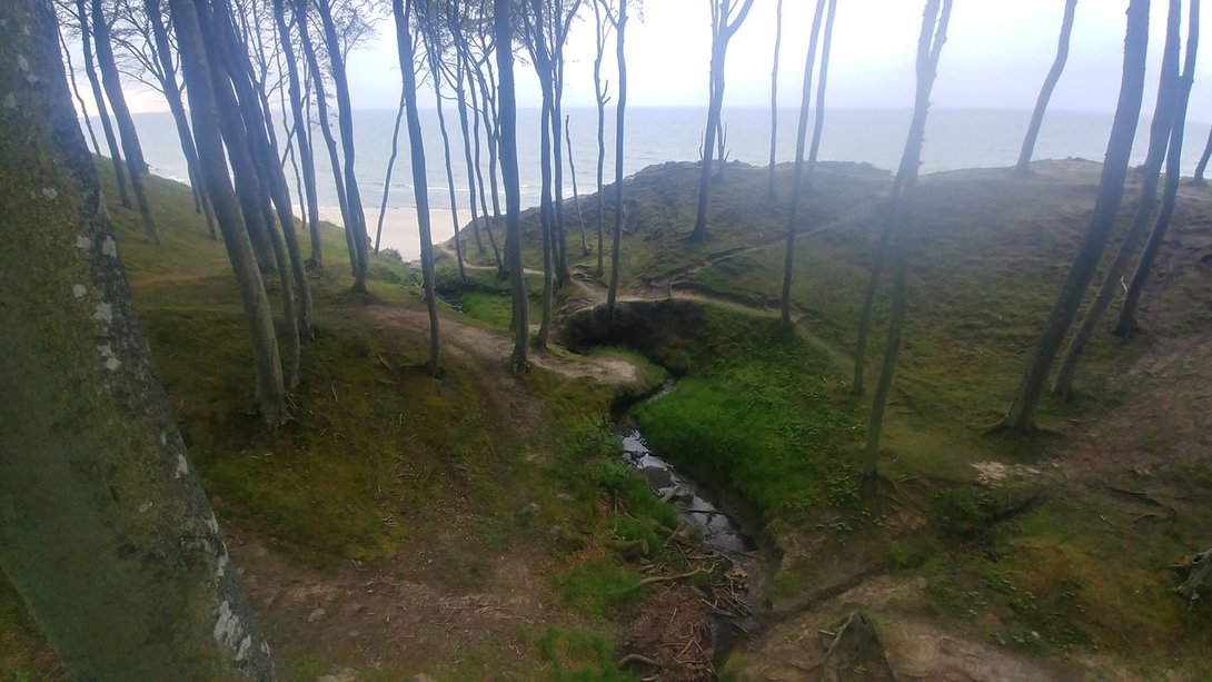 20200615_175906_HDR.jpg