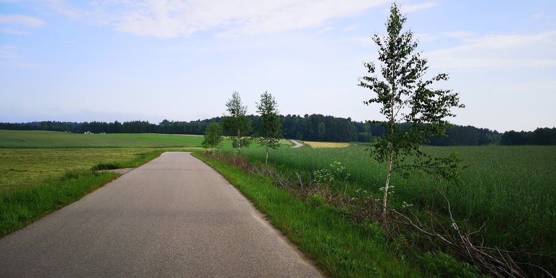 IMG_20200612_072819.thumb.jpg.51fe80a73221628c5567e25279f1e6bd.jpg