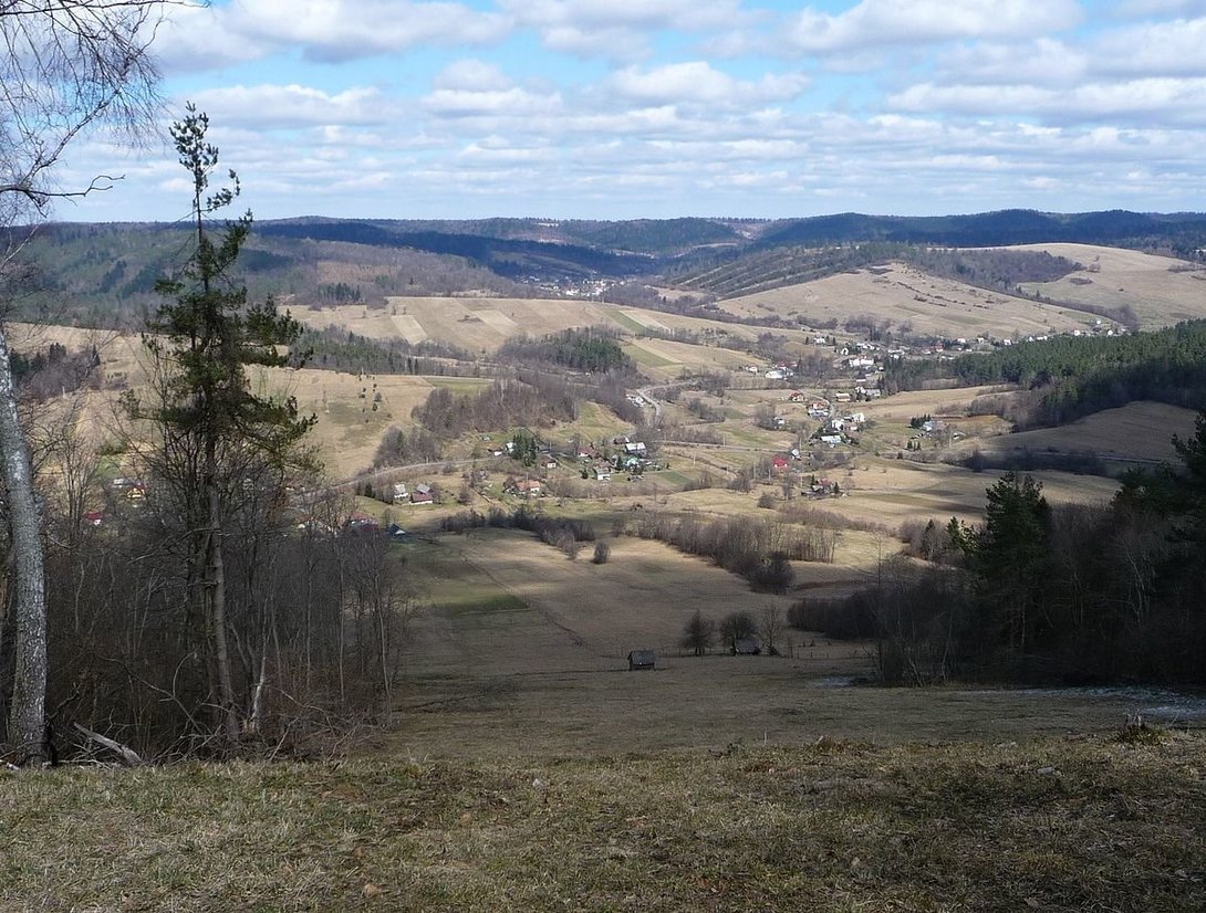 1004959015_Wakowa(1).thumb.jpg.162786cd73889725c5304439551de172.jpg