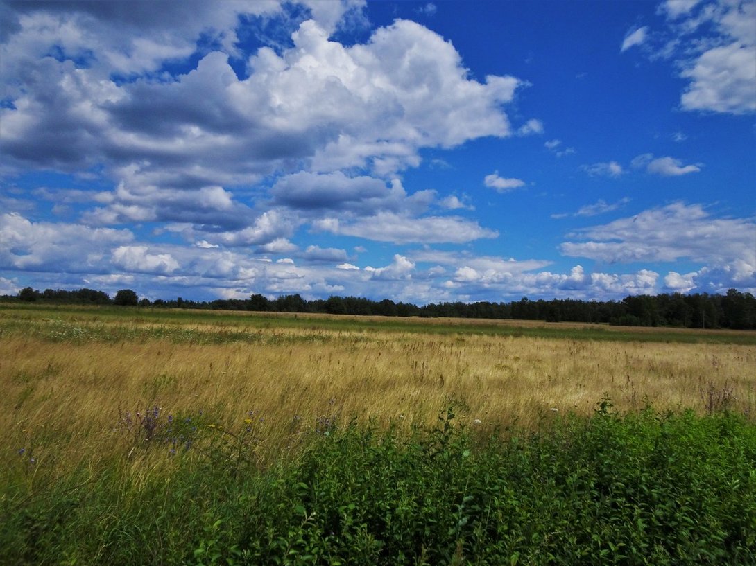 DSC05160.thumb.JPG.d072b7b05efec2c3c800fd6c929adbc1.JPG