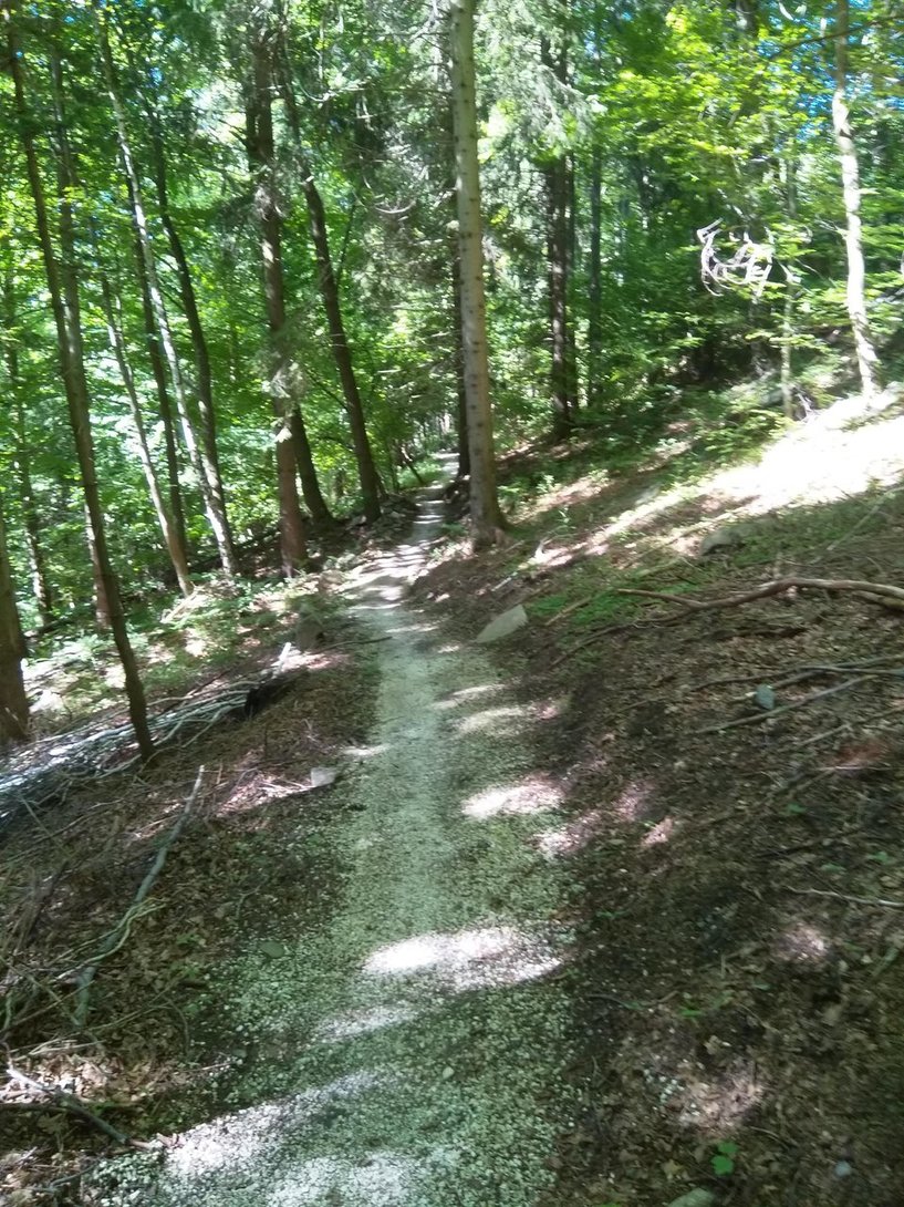 IMG_20200701_093540.jpg
