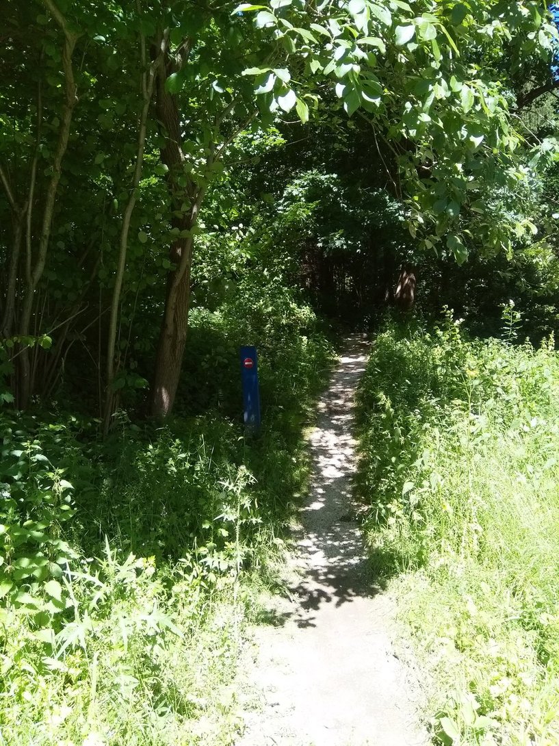 IMG_20200701_103950.jpg