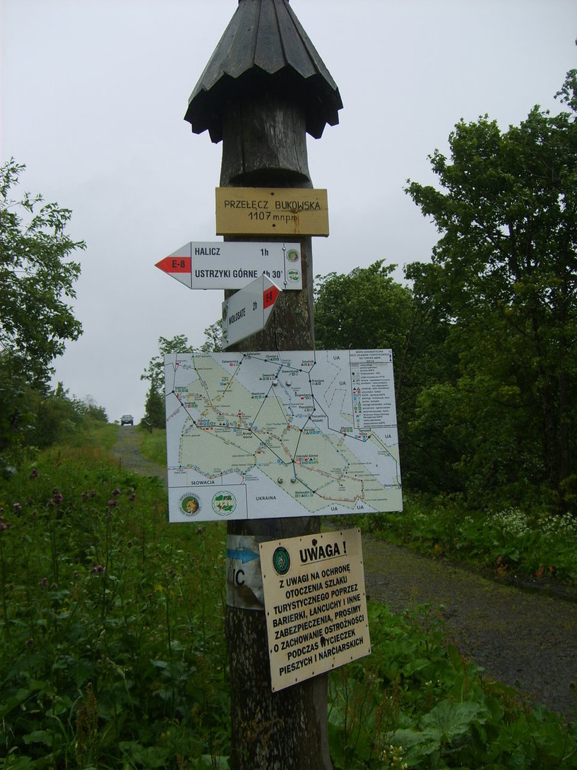S5003555.JPG
