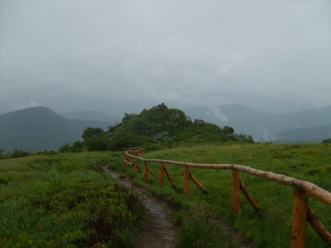 S5003558.JPG