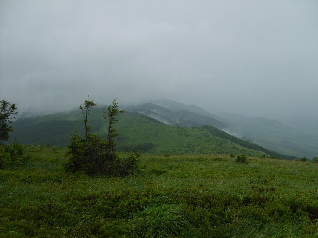 S5003559.JPG