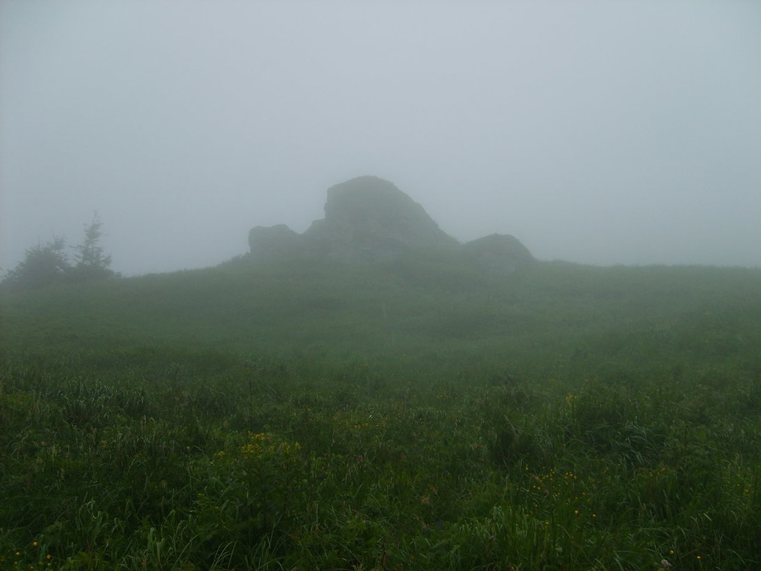 S5003560.JPG