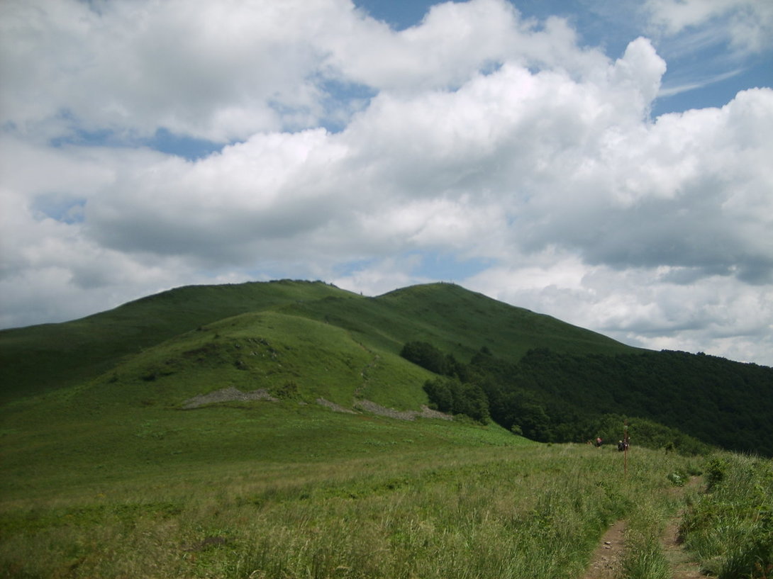 S5003568.JPG