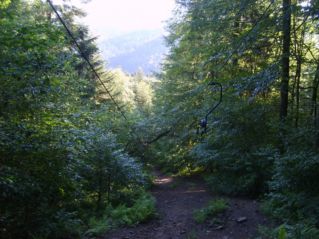 S5003572.JPG