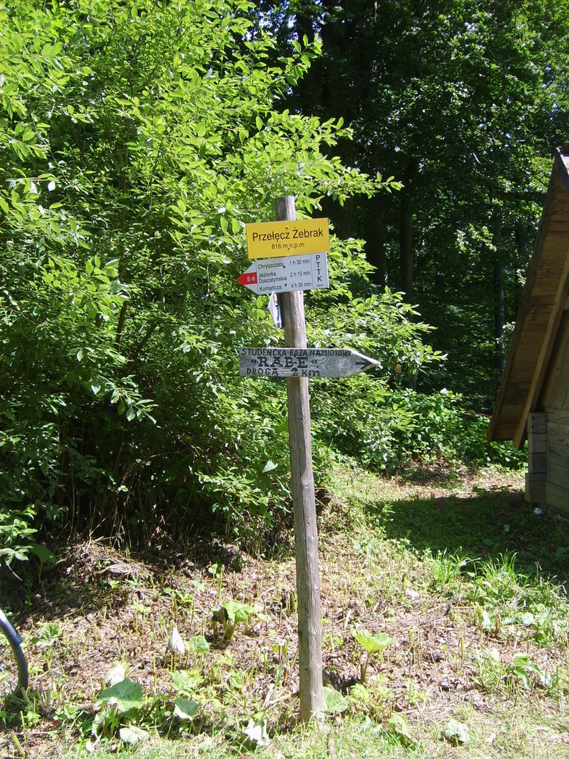 S5003575.JPG