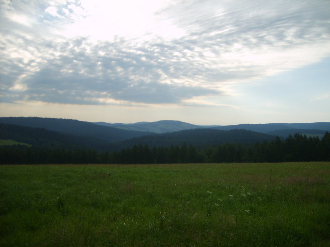 S5003578.JPG