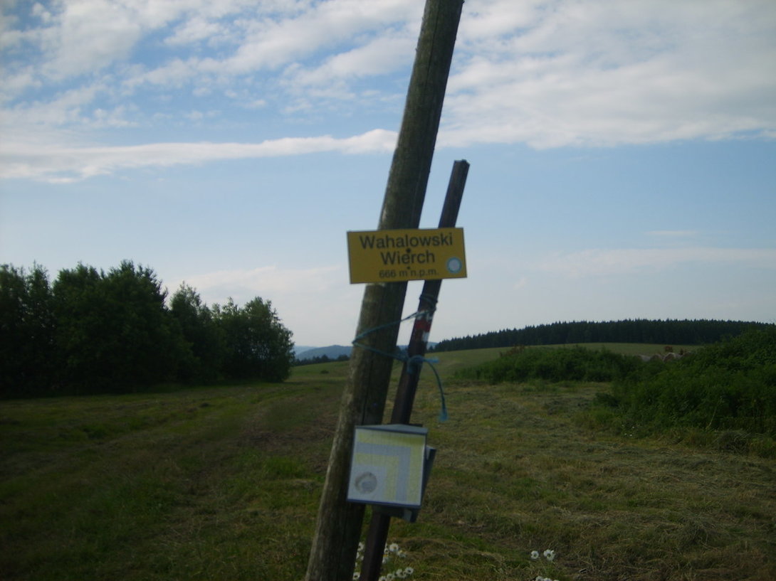 S5003579.JPG