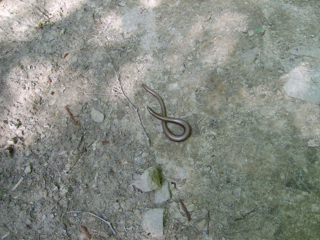 S5003580.JPG