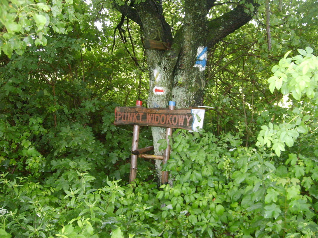S5003587.JPG