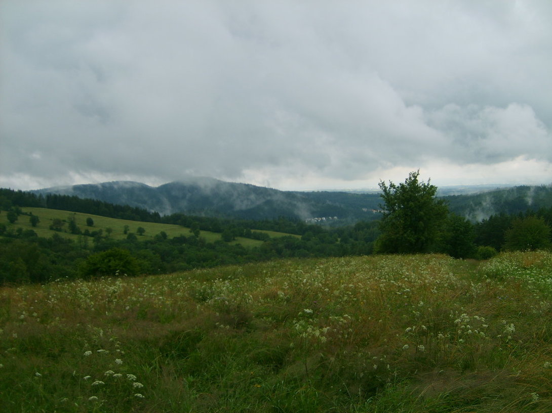 S5003588.JPG